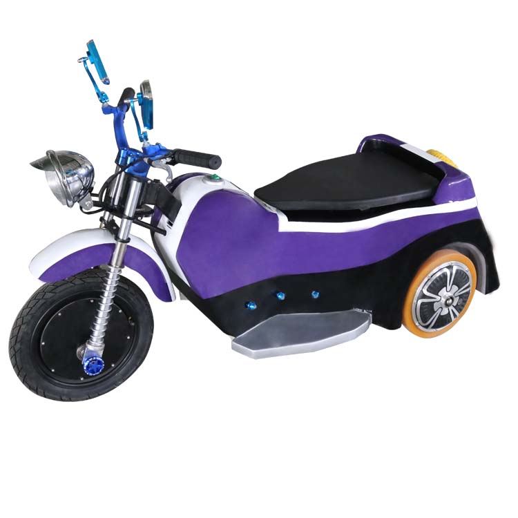 Swing Motobycle FLSM-A10001